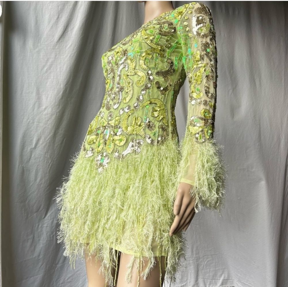 ASOS EDITION embellished sequin and fringe mini dress with faux feather hem - Picture 3 of 12